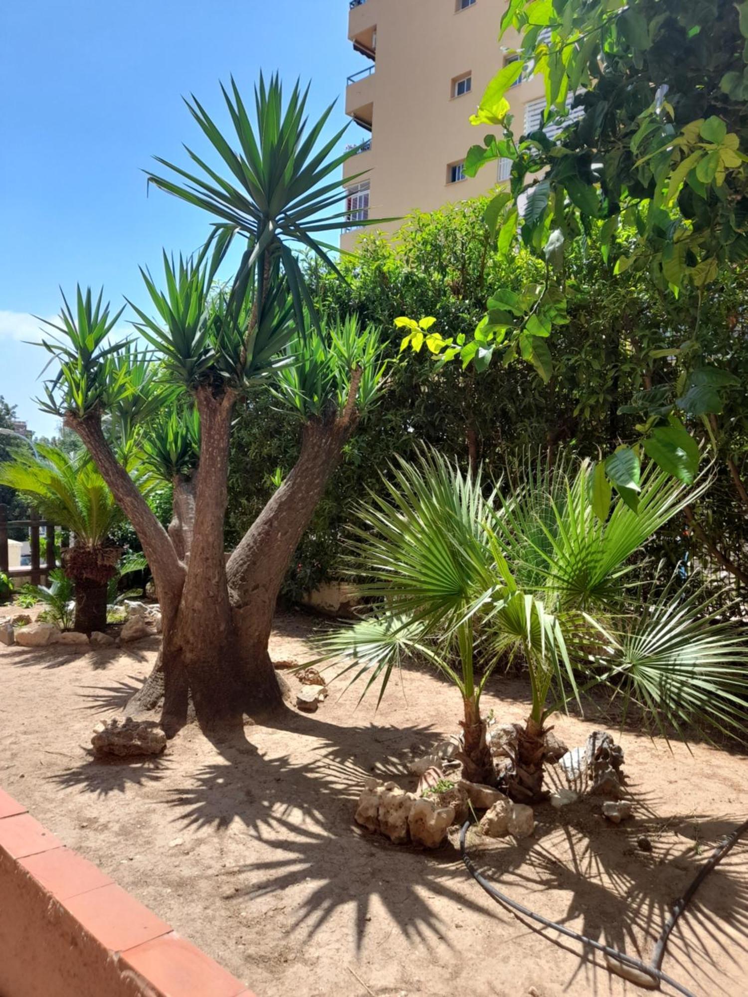 Torremolinos Centro Beach Apartment ภายนอก รูปภาพ
